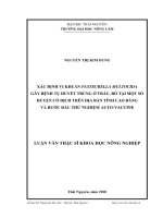xác định vi khuẩn pasteurella multocida gây bệnh tụ huyết trùng ở trâu, bò tại một số huyện có dịch trên địa bàn tỉnh cao bằng và bước đầu thử nghiệm auto-vaccine
