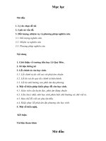 Sáng kiến kinh nghiệm: Hoàn thiện lỗi chính tả cho học sinh lớp 1