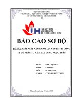 bài 1 GIẢI PHÁP NÂNG CAO lợi NHUẬN tại CÔNG TY cổ PHẦN tư vấn xây DỰNG NGỌC TUẤN