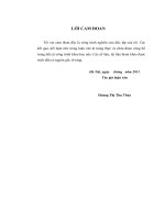 phát triển hoạt động môi giới chứng khoán tại công ty cổ phần chứng khoán ngân hàng đầu tư và phát triển việt nam