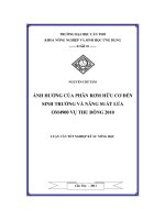 Ảnh hưởng của phân rơm hữu cơ đến sinh trưởng và năng suất lúa OM4900 vụ thu đông 2010