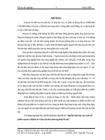 Thiết kế nhà máy sản xuất chế phẩm enzyme cellulase từ vỏ lụa sắn theo phương pháp bề mặt