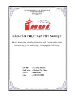 Hoàn thiện hệ thống kênh phân phối cho sản phẩm phân bón tại công ty cổ phân công – nông nghiệp tiến nông