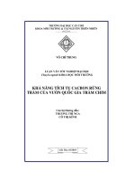 Khả năng tích tụ cacbon rừng tràm của vườn quốc gia tràm chim