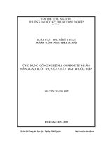 ứng dụng công nghệ mạ composite nhằm nâng cao tuổi thọ của chày dập thuốc viên