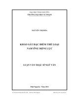 khảo sát đặc điểm thể loại nam ông mộng lục