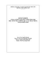 đề tài giáo viên tổng phụ trách giỏi cấp tỉnh