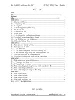 thiết kế kỹ thuật giếng khoan thăm dò và khai thác dầu khí tại mỏ bạch hổ