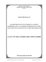 xác định một số yếu tố gây bệnh của vi khuẩn escherichia coli và clostridium perfringens gây tiêu chảy ở dê nuôi tại thái nguyên và biện pháp phòng trị