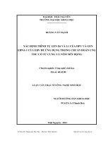xác định trình tự gen e6 và l1 của hpv và gen ebna-1 của ebv để ứng dụng trong chuẩn đoán ung thư cổ tử cung và vòm mũi họng