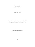 Hình thái đá tai và tăng trưởng của cá rô đồng anabas testudineus ở tỉnh hậu giang