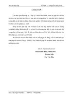 Hoàn thiện công tác tổ chức mạng lưới bán hàng của công ty TNHH TM thọ thanh