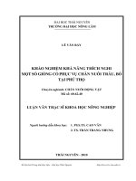 khảo nghiệm khả năng thích nghi một số giống cỏ phục vụ chăn nuôi trâu, bò tại phú thọ