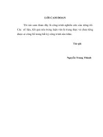 thực trạng về sản xuất chế biến và các giải pháp mở rộng thị trường xuất khẩu sản phẩm chè nước ta