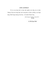 hoàn thiện cơ chế cho vay của ngân hàng tmcp ngoại thương việt nam (qua khảo sát tại  chi nhánh thành công)