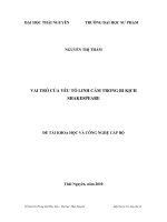 vai trò của yếu tố linh cảm trong bi kịch shakespeare