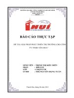 GIẢI PHÁP PHÁT TRIỂN THỊ TRƯỜNG CHO CÔNG TY TNHH tân HOA