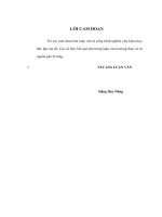 đa dạng hoá dịch vụ của chi nhánh ngân hàng đầu tư và phát triển tỉnh bắc giang