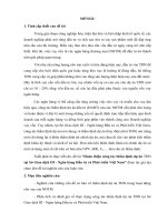 hoàn thiện công tác thẩm định dự án thủy điện nhỏ tại sở giao dịch iii - ngân hàng đầu tư và phát triển việt nam