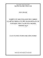 nghiên cứu khả năng tích lũy carbon của rừng mỡ (manglietia conifera dandy) trồng ở các tuổi khác nhau tại chợ đồn -bắc kạn.