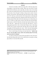 Thiết kế nhà máy sản xuất chế phẩm enzyme amylase theo phương pháp bề mặt năng suất enzyme thô là 24 tấnngày