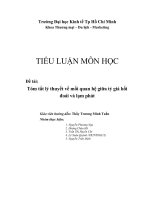 Tiểu luận môn lý thuyết tài chính tiền tệ Tóm tắt lý thuyết về mối quan hệ giữa tỷ giá hối đoái và lạm phát