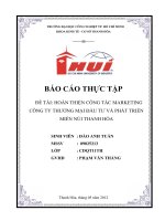 bài nộp HOÀN THIỆN CÔNG tác MARKETING CÔNG TY THƯƠNG mại đầu tư và PHÁT TRIỂN MIỀN núi THANH hóa