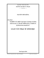 luận văn thạc sĩ nghiên cứu biến nạp gen vào đậu tương (glycine max (l.) merrill) thông qua vi khuẩn agrobacterium tumefaciens