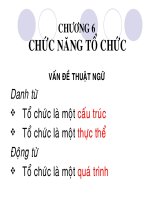 chức năng tổ chức