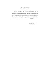 mở rộng thanh toán quốc tế theo phương thức tín dụng chứng từ tại ngân hàng đầu tư và phát triển việt nam (bidv) – chi nhánh hải phòng