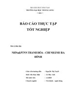 HOẠT ĐỘNG sản XUẤT KINH DOANH của CHI NHÁNH NHNo  PTNT CHI NHÁNH BA ĐÌNH   THANH hóa