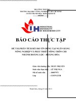 PHÂN TÍCH rủi RO tín DỤNG tại NGÂN HÀNG NÔNG NGHIỆP và PHÁT TRIỂN NÔNG THÔN CHI NHÁNH HOẰNG lộc   HOẰNG hóa