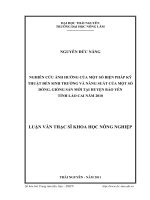 nghiên cứu ảnh hưởng của một số biện pháp kỹ thuật đến sinh trưởng và năng suất của một số dòng, giống sắn mới tại huyện bảo yên - tỉnh lào cai năm 2010