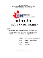 PHÂN TÍCH TÌNH HÌNH tài CHÍNH của CÔNG TY TRÁCH NHIỆM hữu hạn một THÀNH VIÊN môi TRƯỜNG và CÔNG TRÌNH đô THỊ THANH hóa