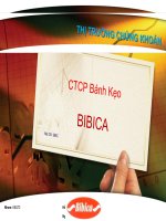 Thị Trường Chứng Khoán (CTCP Bánh Kẹo BiBiCa)