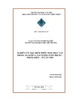 Nghiên cứu đặc điểm phiêu sinh thực vật trong ao nuôi cá tai tượng ở mỹ phụng   phong điền   TP cần thơ