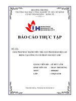 GIẢI PHÁP đẩy MẠNH TIÊU THỤ sản PHẨM bảo hộ LAO ĐỘNG tại CÔNG TY cổ PHẦN NGUYỆT ANH