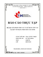 GIẢI PHÁP CHO VAY và sử DỤNG vốn VAY tại QUỸ tín DỤNG NHÂN dân tân NINH