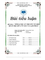 Tiểu luận môn lý thuyết tài chính tiền tệ TÓM LƯỢC LÝ THUYẾT VỀ MỐI QUAN HỆ GIỮA TỶ GIÁ VÀ LẠM PHÁT