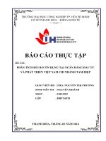 PHÂN TÍCH rủi RO tín DỤNG tại NGÂN HÀNG đầu tư và PHÁT TRIỂN VIỆT NAM CHI NHÁNH TAM điệp
