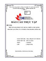 bài1 một số GIẢI PHÁP xây DỰNG CHIẾN lược KINH DOANH tại CÔNG TY cổ PHẦN THANH HOA SÔNG đà