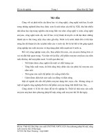 Thiết kế nhà máy sản xuất enzyme amylaza theo phương pháp bề mặt, năng suất enzyme thô 20 tấnngày