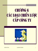 các loại chiến lược cấp công ty