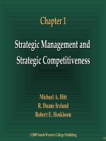 strategic management and strategic competitiveness