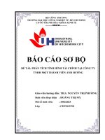 PHÂN TÍCH TÌNH HÌNH tài CHÍNH tại CÔNG TY TNHH một THÀNH VIÊN ÁNH HƯỜNG