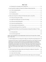 Phân tích hiệu quả sử dụng vốn công ty TNHH sóng thần