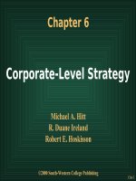corporate-level strategy