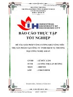 GIẢI PHÁP TĂNG CƯƠNG KHẢ NĂNG TIÊU THỤ sản PHẦM tại CÔNG TY TNHH DỊCH vụ THƯƠNG mại CÔNG NGHỆ ASEAN