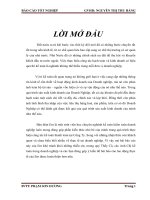 Kế toán vốn bằng tiền tại Công ty TNHH Công Nghệ và Thương Mại Trường Long.