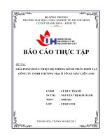 GIẢI PHÁP HOÀN THIỆN hệ THỐNG KÊNH PHÂN PHỐI tại CÔNG TY TNHH THƯƠNG mại ô tô XE máy LIÊN ANH